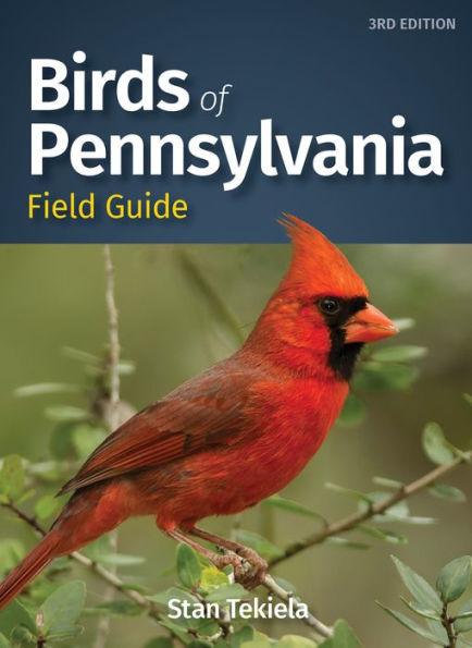 Birds of Pennsylvania Field Guide - Paperback | Diverse Reads