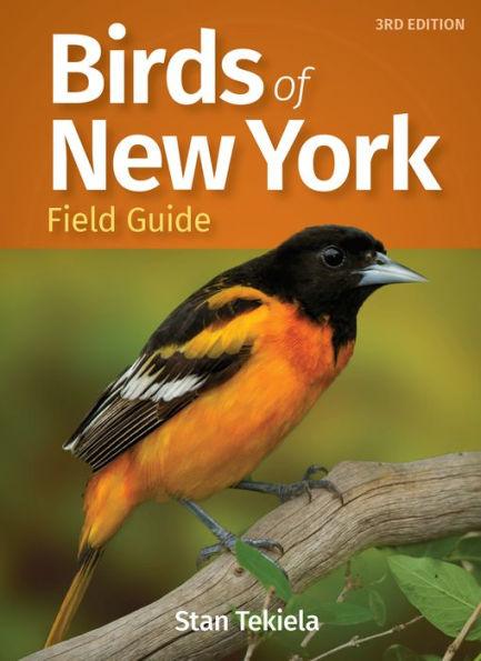 Birds of New York Field Guide - Paperback | Diverse Reads