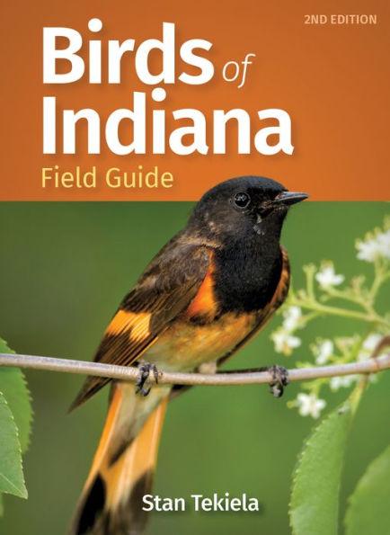 Birds of Indiana Field Guide - Paperback | Diverse Reads