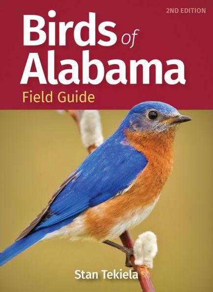 Birds of Alabama Field Guide - Paperback | Diverse Reads