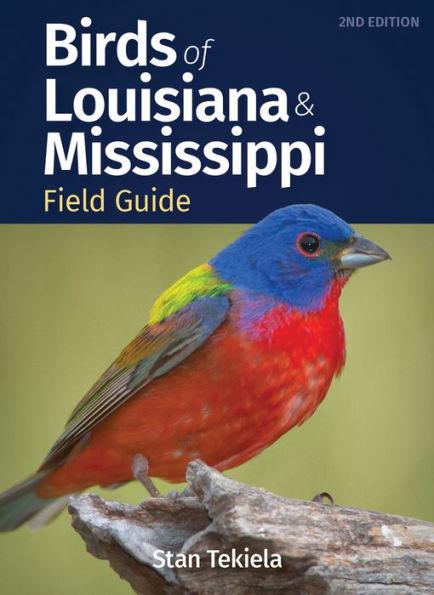 Birds of Louisiana & Mississippi Field Guide - Paperback | Diverse Reads