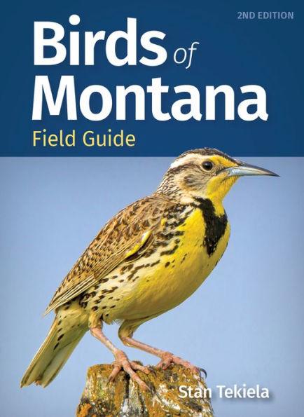 Birds of Montana Field Guide - Paperback | Diverse Reads