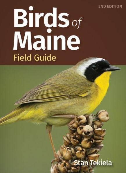Birds of Maine Field Guide - Paperback | Diverse Reads