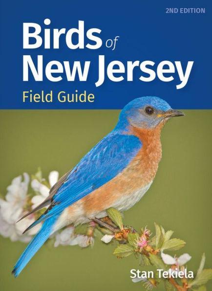 Birds of New Jersey Field Guide - Paperback | Diverse Reads