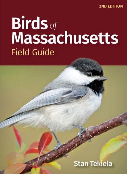 Birds of Massachusetts Field Guide - Paperback | Diverse Reads