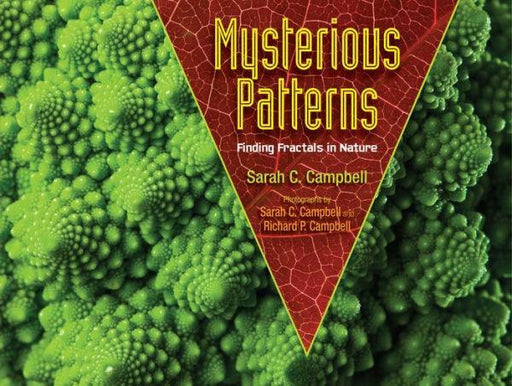 Mysterious Patterns: Finding Fractals in Nature - Paperback | Diverse Reads