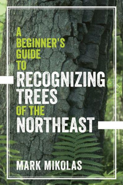 A Beginner's Guide to Recognizing Trees of the Northeast - Paperback | Diverse Reads