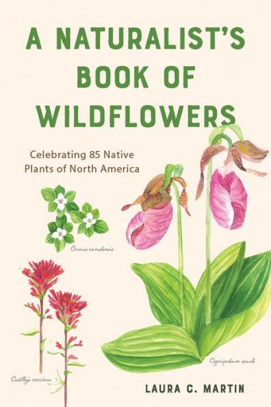 A Naturalist's Book of Wildflowers: Celebrating 85 Native Plants in North America - Paperback | Diverse Reads