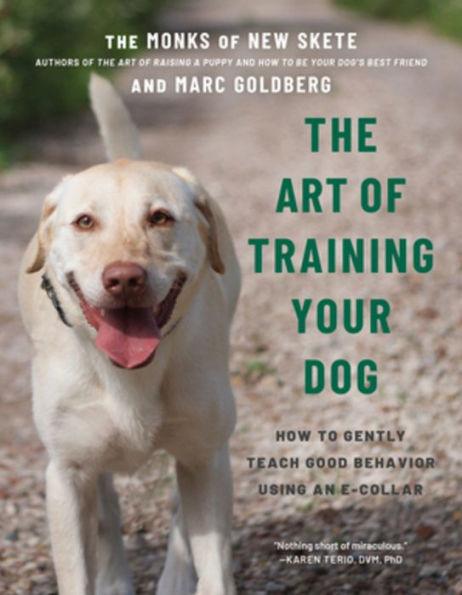 The Art of Training Your Dog: How to Gently Teach Good Behavior Using an E-Collar - Paperback | Diverse Reads