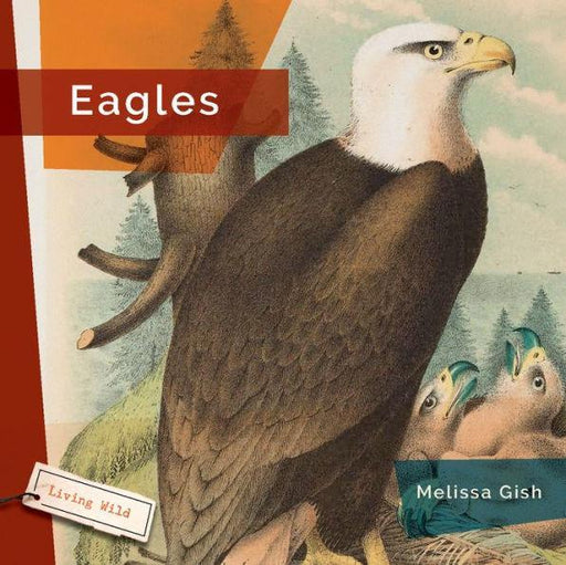 Eagles - Paperback | Diverse Reads