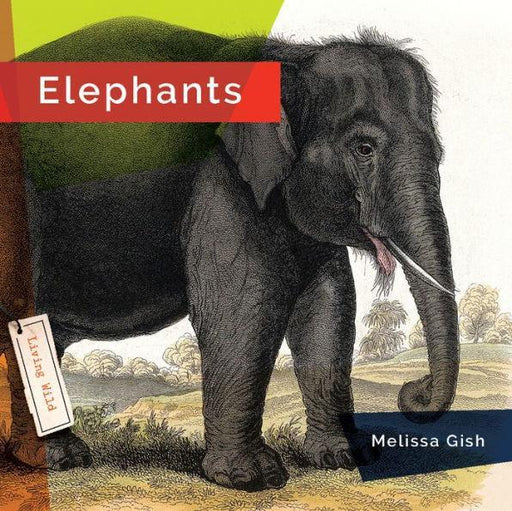 Elephants - Paperback | Diverse Reads