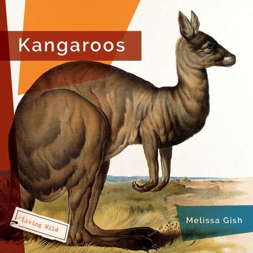 Kangaroos - Paperback | Diverse Reads