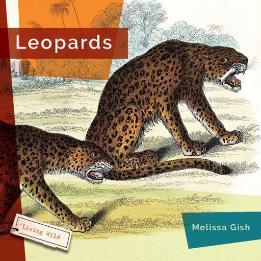 Leopards - Paperback | Diverse Reads