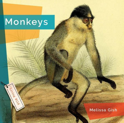 Monkeys - Paperback | Diverse Reads