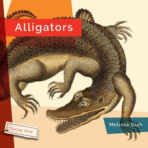 Alligators - Paperback | Diverse Reads