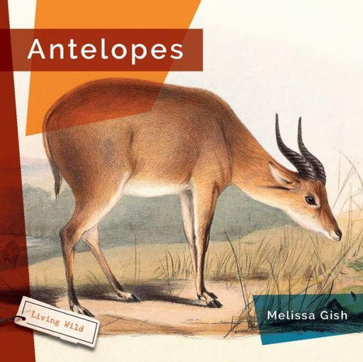 Antelopes - Paperback | Diverse Reads