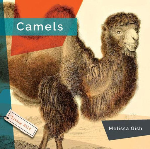 Camels - Paperback | Diverse Reads