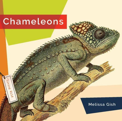 Chameleons - Paperback | Diverse Reads