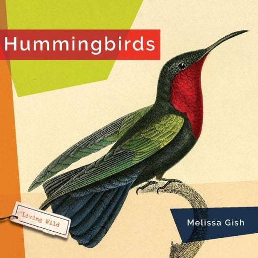 Hummingbirds - Paperback | Diverse Reads