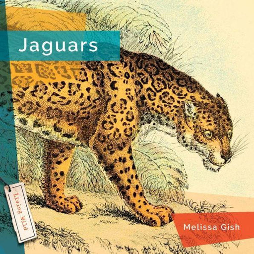 Jaguars - Paperback | Diverse Reads