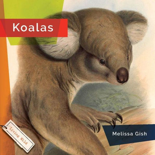 Koalas - Paperback | Diverse Reads