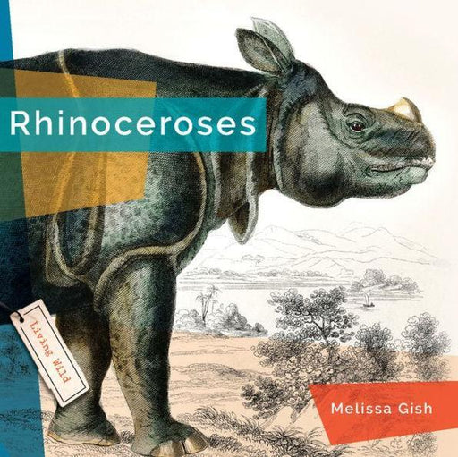 Rhinoceroses - Paperback | Diverse Reads