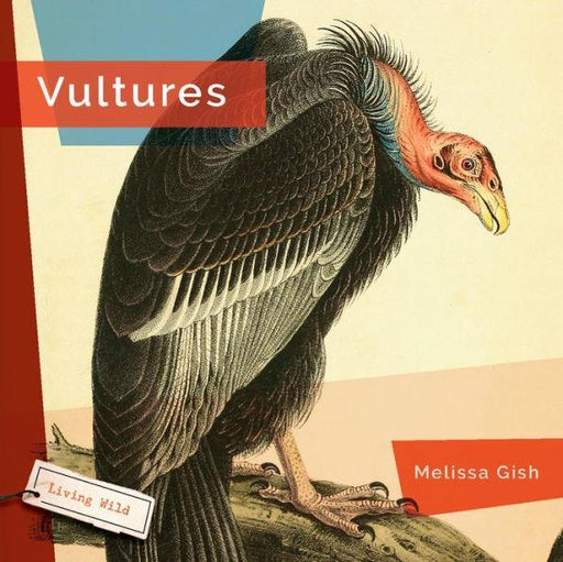 Vultures - Paperback | Diverse Reads
