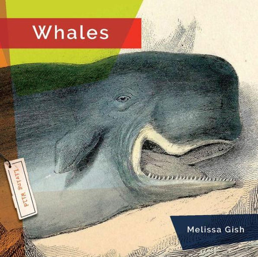 Whales - Paperback | Diverse Reads