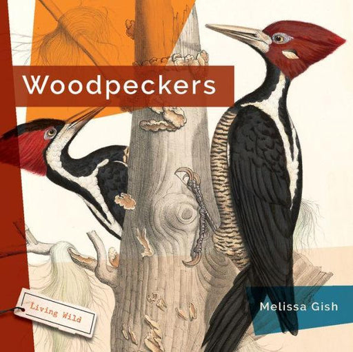 Woodpeckers - Paperback | Diverse Reads