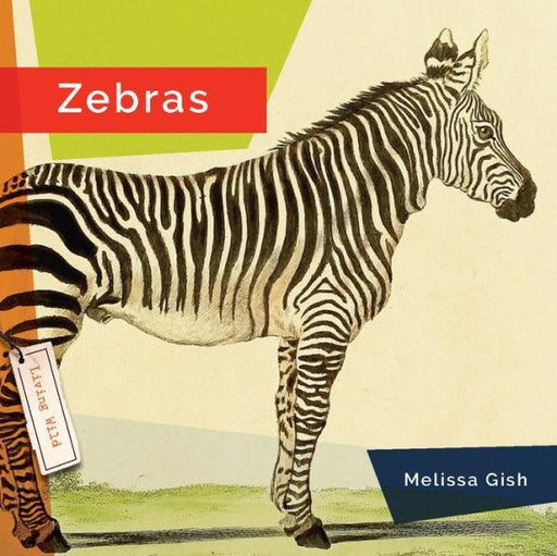 Zebras - Paperback | Diverse Reads