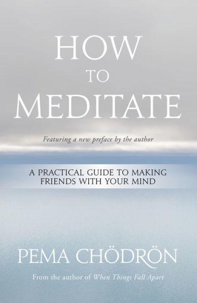 How to Meditate: A Practical Guide to Making Friends with Your Mind - Paperback | Diverse Reads
