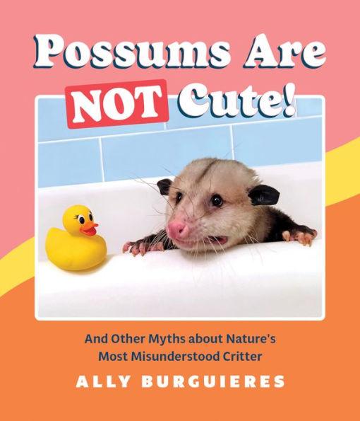 Possums Are Not Cute!: And Other Myths about Nature's Most Misunderstood Critter - Hardcover | Diverse Reads