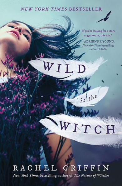 Wild Is the Witch - Hardcover | Diverse Reads