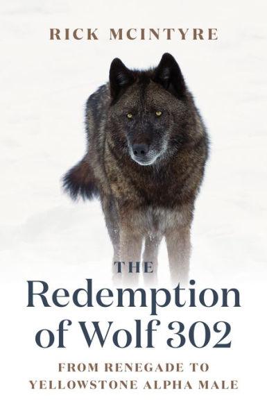 The Redemption of Wolf 302: From Renegade to Yellowstone Alpha Male - Hardcover | Diverse Reads