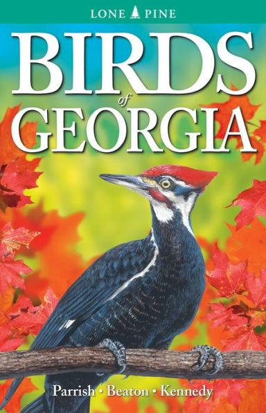 Birds of Georgia - Paperback | Diverse Reads
