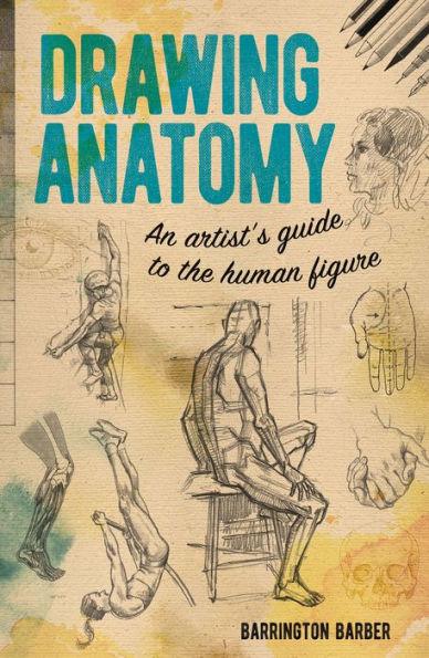 Drawing Anatomy: An Artist's Guide to the Human Figure - Paperback | Diverse Reads