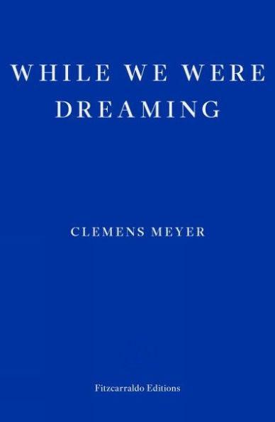 While We Were Dreaming - Paperback | Diverse Reads