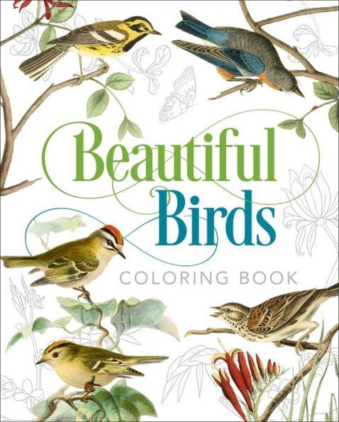 Beautiful Birds Coloring Book - Paperback | Diverse Reads