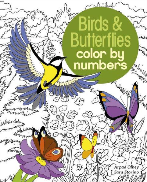 Birds & Butterflies Color by Numbers - Paperback | Diverse Reads