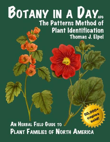 Botany in a Day: The Patterns Method of Plant Identification - Paperback | Diverse Reads