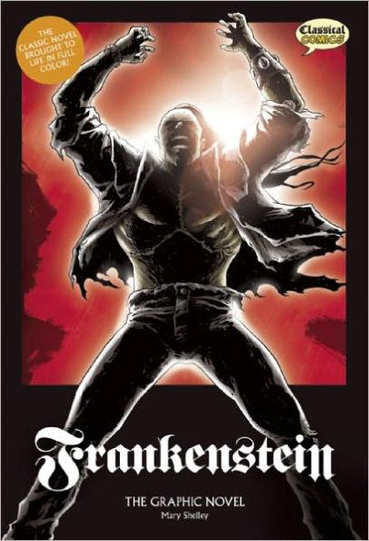 Frankenstein: The Graphic Novel, Original Text - Library Binding | Diverse Reads
