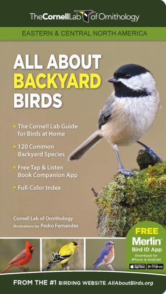 All About Backyard Birds- Eastern & Central North America - Paperback | Diverse Reads