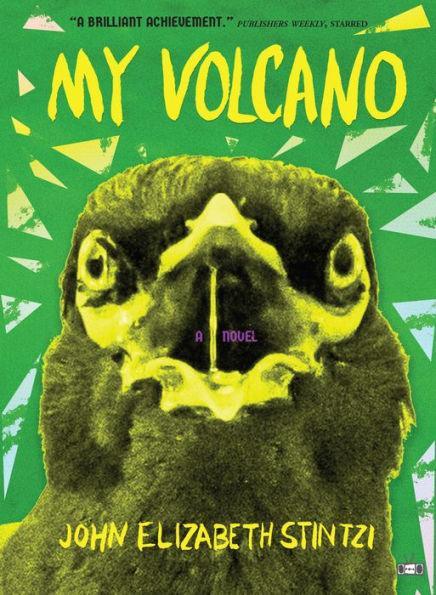 My Volcano - Diverse Reads