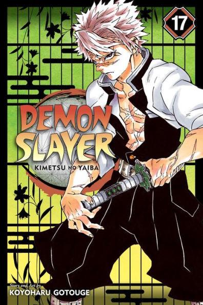Demon Slayer: Kimetsu no Yaiba, Vol. 17 - Paperback | Diverse Reads