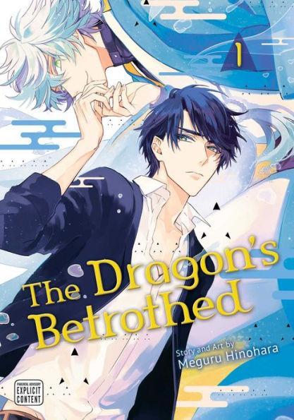 The Dragon's Betrothed, Vol. 1 - Paperback | Diverse Reads