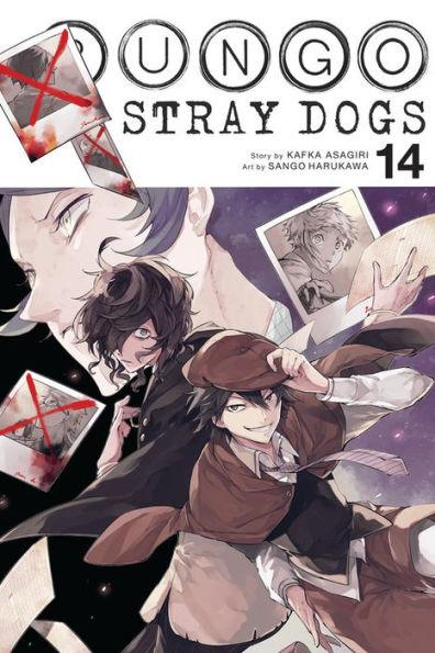 Bungo Stray Dogs, Vol. 14 - Paperback | Diverse Reads