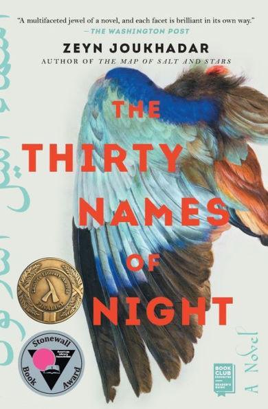The Thirty Names of Night: A Novel - Diverse Reads