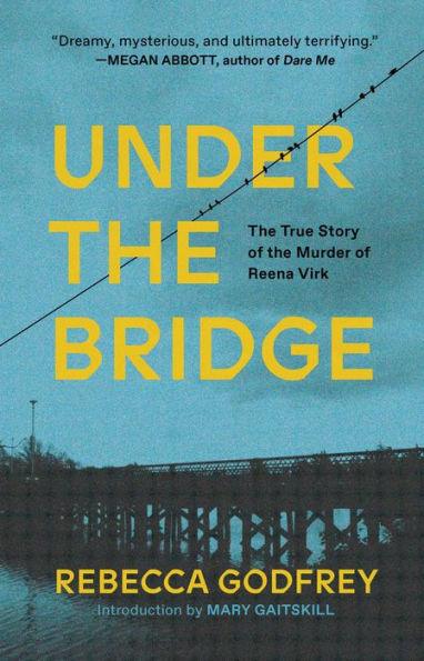 Under the Bridge - Paperback | Diverse Reads