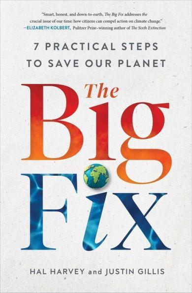 The Big Fix: Seven Practical Steps to Save Our Planet - Paperback | Diverse Reads