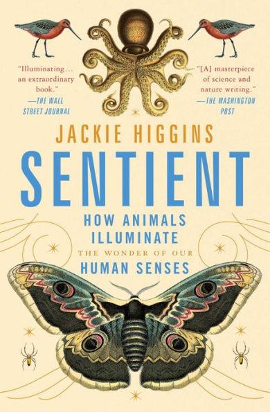 Sentient: How Animals Illuminate the Wonder of Our Human Senses - Paperback | Diverse Reads